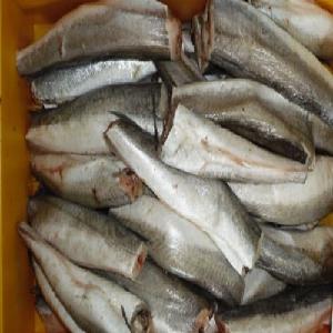 Frozen Pacific Hake Fish And Fillets Ready For Export