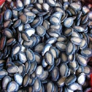 Melon/Watermelon Seeds ( White, Black, Red )  For Sale