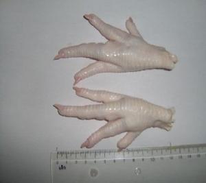 Processed Frozen Chicken Feet / Frozen Chicken Paws For Sale