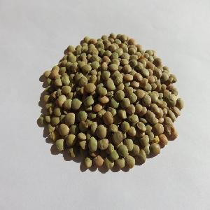 Green Lentils/Organic Green Lentils Ready For Export