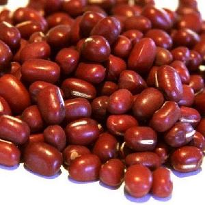 Premium Quality Nutritional Small Red Adzuki Beans