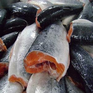  Fresh   Atlantic   Salmon  to Japan, Hong Kong