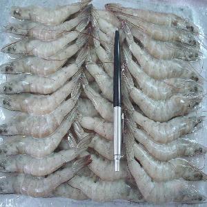 Frozen Vannamei White Shrimp Export Vietnam, Japan, Korea