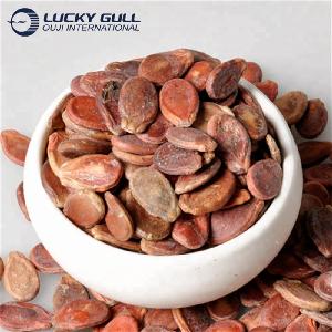 2018 new crop watermelon melon seeds dried red dates