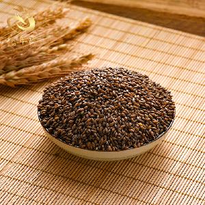 Naturally Grown Wild Oats/Avena Fatua L. Harvested In 2019