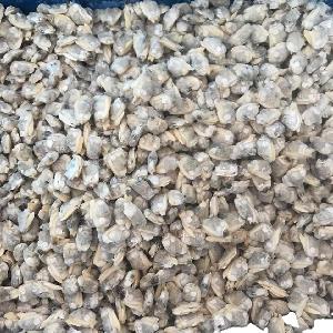 New Season Frozen Boiled Clam Meat for Canned Food