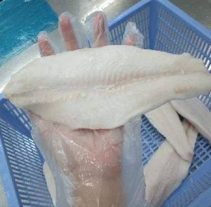 High Quality Frozen Pangasius Fillet in Fish Basa