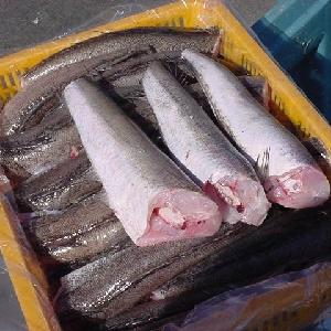 New Process Good Quality Frozen Hake HGT in Hake Fish