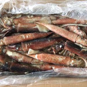 Hot sale frozen Todardodes Pacificus Squid (WR)
