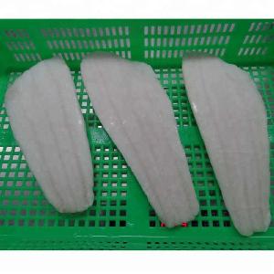 Good Price Fish Halibut Fillet