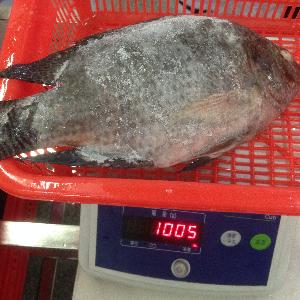 Direct Factory Supply Good Price Frozen Tilapia Whole Round Tilapia Fish
