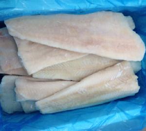 Frozen hake fillet fish fillet