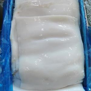 Frozen Giant Squid Fillet