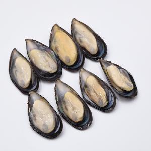 2020 New Processing Good Taste Frozen Half Shell Mussel