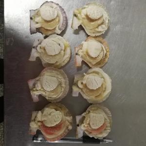 New Season Hot Sale Frozen Half Shell Farreri Scallop