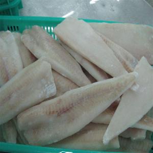Call Right Now Slashed Types of Fish Fillets Pollock Fish