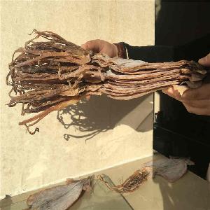 New arriving Good quality 5 times socking Dried Squid Dry Squid from China