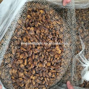 Grade A Frozen Silkworm For  Korea  Market
