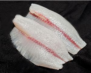 frozen Non CO tilapia fish fillet price