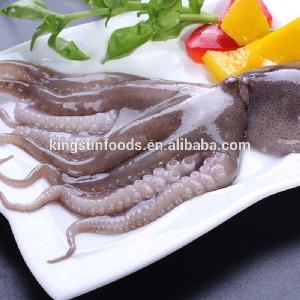Frozen Cut Poulp Squid