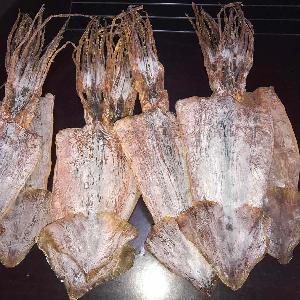 High Quality Good Sale Todarodes  Squid   Dry   Squid 