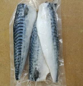 New Season Frozen Atlantic Mackerel Fillet