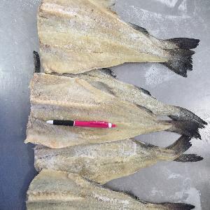 alaska frozen pollock fish fillet