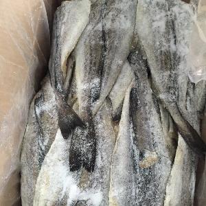 Wholesale Good quality hot sale alaska pollock dried fish fillet butterfly