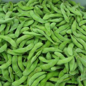 High Quality Frozen Green Beans Cut with BRC,Kosher