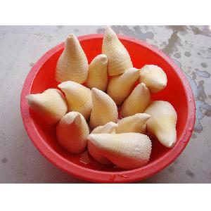 Good Quality Canned Spring Bamboo Shoot Strip 3KG