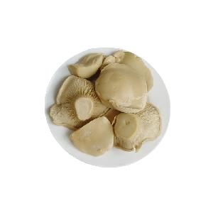 High quality preservation canned bailing mushroom cheap price