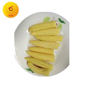 Canned baby corn whole in brine fresh canned vegetables