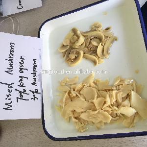 Mixed Brined Champignon Mushroom 30% and 70% king oyster mushroom
