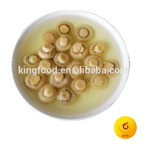 Wholesale canned button mushroom price to India