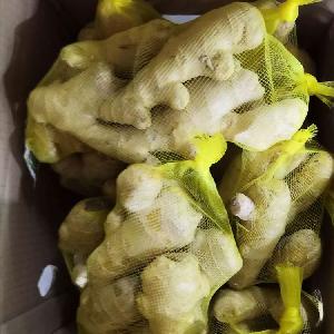  chinese   fresh  ginger price of  fresh  ginger