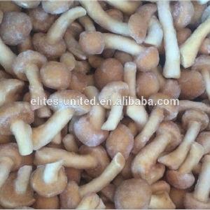 Iqf Shiitake Mushroom Slices/IQF Shiitake Slice/ IQF Mushroom Whole Food Mushroom at Best Price in Qingdao