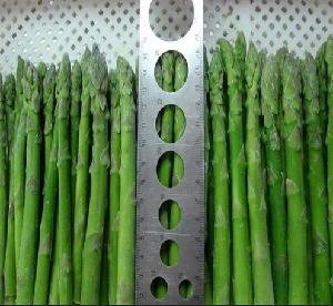 2016 wholesale bulk iqf frozen green fresh asparagus prices