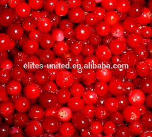 A grade IQF frozen fruit lingonberry