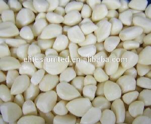 Fresh Peeled Garlic manufacturer from China