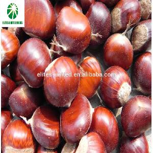 Chinese Shandong cheap organic chestnuts fresh sweet chestnut