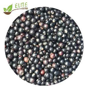 New Season  IQF   Blackcurrant 