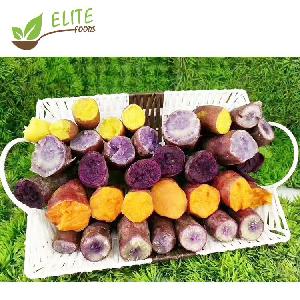 High Quality Frozen Roasted Sweet Potato IQF Export Sweet Potatoes with Cheap Price