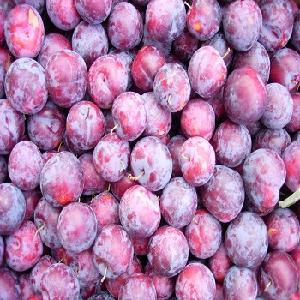 A grade quality Frozen Plum Halves IQF Plum New Crop with Cheap Price