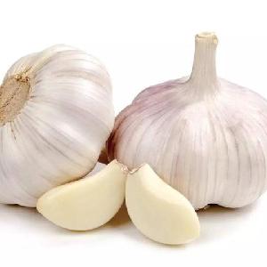 2020 New Crop Fresh Normal White Garlic