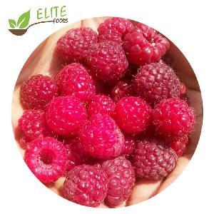 2019 New Crop Frozen Raspberry Whole IQF Raspberry with Good Price