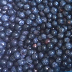 2020 New Season IQF Blueberries Specification