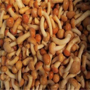 Export High quality dry/Frozen oyster/Shiitake/Champignon Whole Mushroom/Sliced White Mushrooms