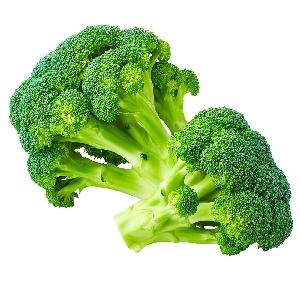fresh vegetables fresh broccoli with good price
