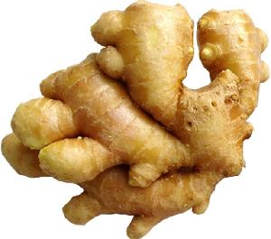 Ginger export Fresh ginger with good price