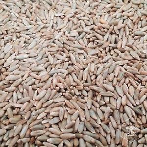 Organic Farm  Rye  grain/Winter  Rye / Rye  Flakes in  Rye  bran